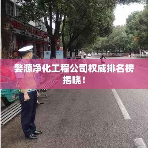 婺源净化工程公司权威排名榜揭晓!