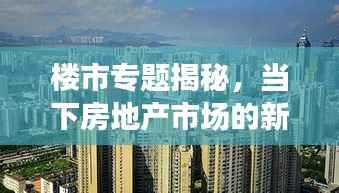 楼市专题揭秘,当下房地产市场的新趋势与挑战探索