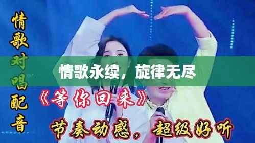 情歌永续,旋律无尽