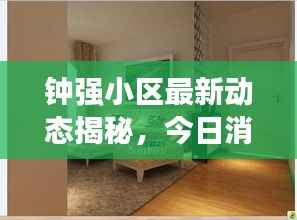 钟强小区最新动态揭秘,今日消息一网打尽!