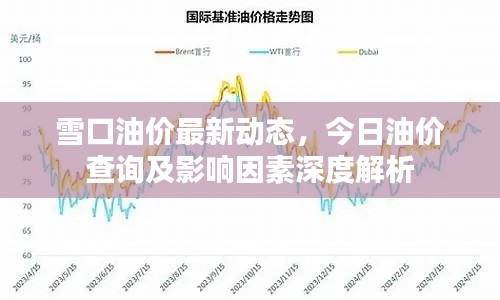 雪口油价最新动态,今日油价查询及影响因素深度解析