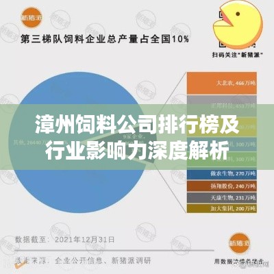 漳州饲料公司排行榜及行业影响力深度解析