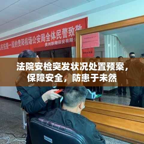 法院安检突发状况处置预案,保障安全,防患于未然