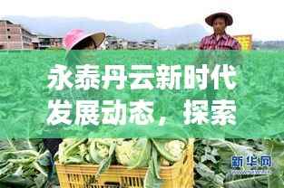 永泰丹云新时代发展动态,探索最新新闻头条