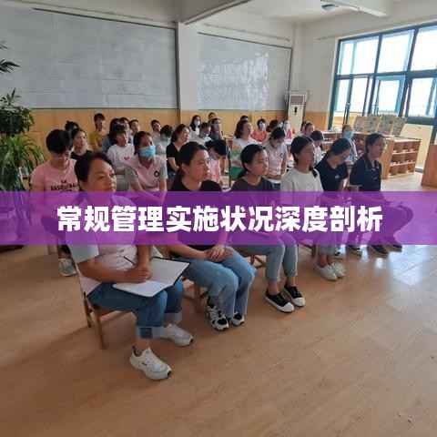 常规管理实施状况深度剖析