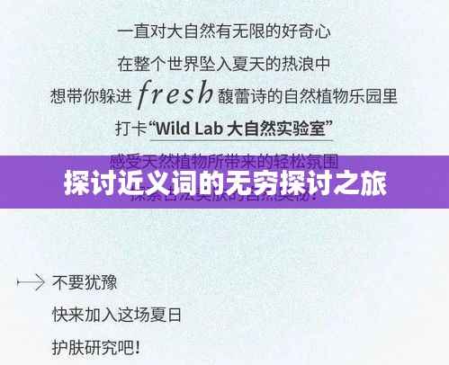 探讨近义词的无穷探讨之旅