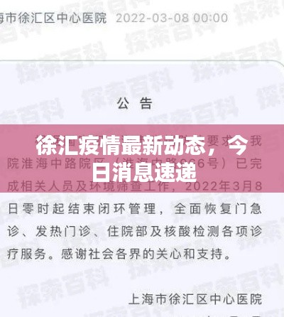 徐汇疫情最新动态,今日消息速递