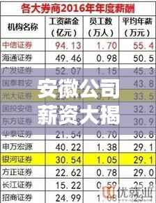 安徽公司薪资大揭秘,排名背后的真相!