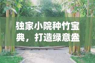 独家小院种竹宝典,打造绿意盎然的小天地