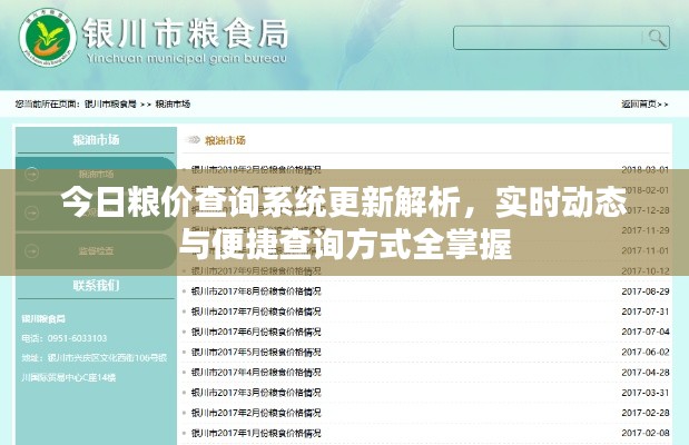 今日粮价查询系统更新解析,实时动态与便捷查询方式全掌握