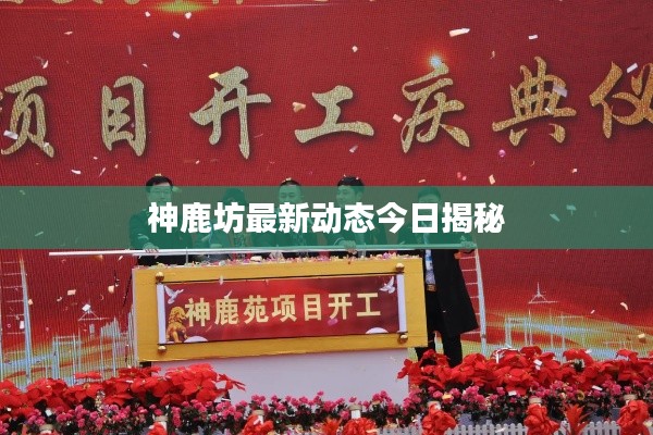 神鹿坊最新动态今日揭秘