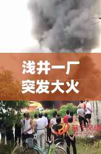 蚕丛鸟道 第2页