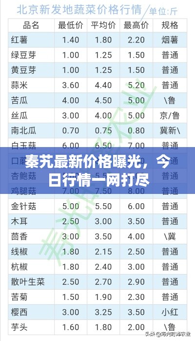 秦艽最新价格曝光,今日行情一网打尽