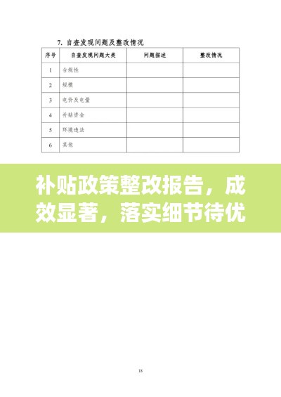 补贴政策整改报告,成效显著,落实细节待优化