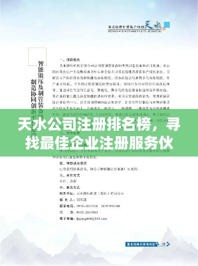 天水公司注册排名榜,寻找最佳企业注册服务伙伴