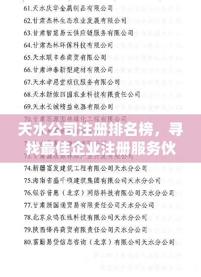 天水公司注册排名榜,寻找最佳企业注册服务伙伴