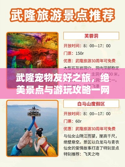 武隆宠物友好之旅,绝美景点与游玩攻略一网打尽!