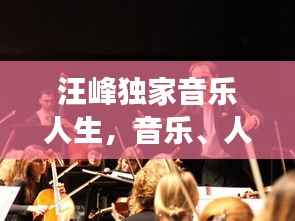 汪峰独家音乐人生,音乐、人生与时代的交响乐章(2013)