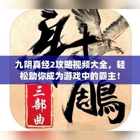 九阴真经2攻略视频大全，轻松助你成为游戏中的霸主！