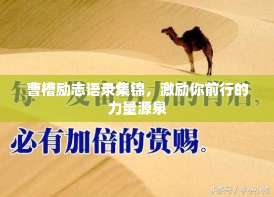 曹槽励志语录集锦，激励你前行的力量源泉