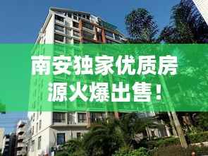 南安独家优质房源火爆出售!