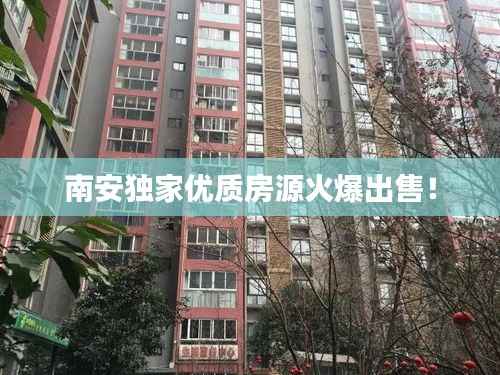 南安独家优质房源火爆出售!
