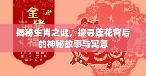揭秘生肖之谜,探寻莲花背后的神秘故事与寓意