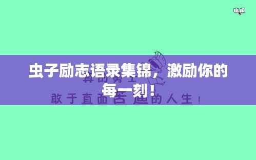 纲挈目张 第2页