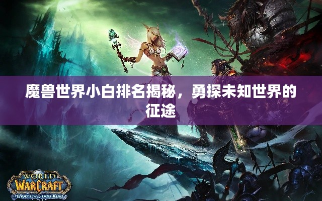 魔兽世界小白排名揭秘,勇探未知世界的征途