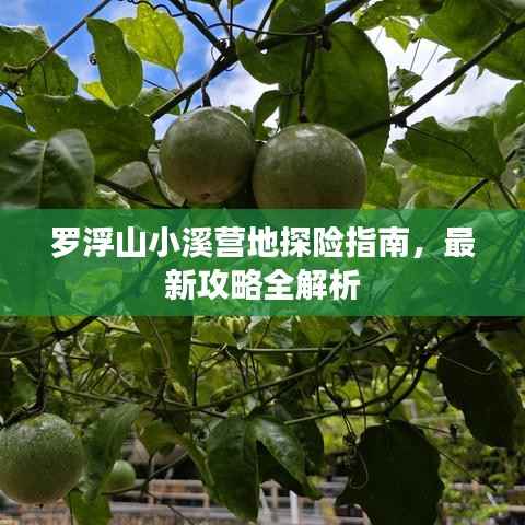 罗浮山小溪营地探险指南,最新攻略全解析