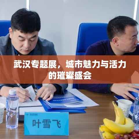 武汉专题展,城市魅力与活力的璀璨盛会