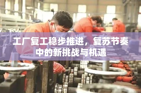 工厂复工稳步推进,复苏节奏中的新挑战与机遇