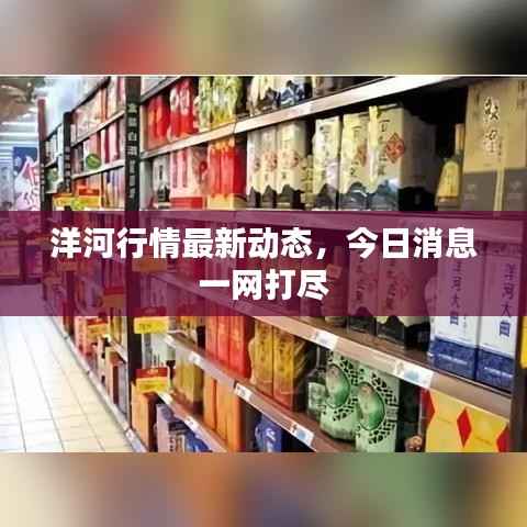 洋河行情最新动态,今日消息一网打尽