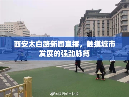 西安太白路新闻直播,触摸城市发展的强劲脉搏