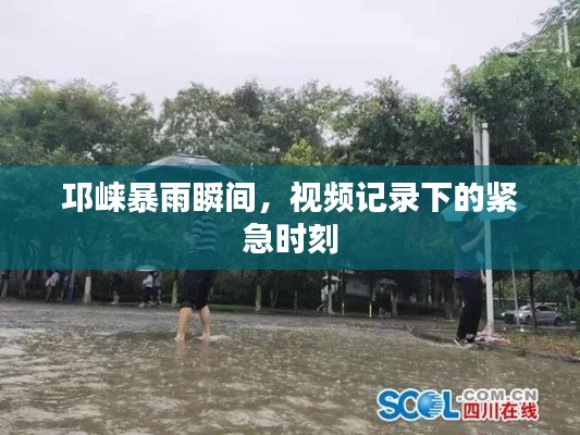 邛崃暴雨瞬间,视频记录下的紧急时刻