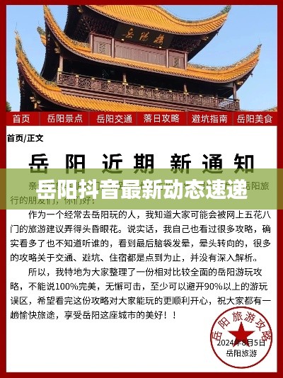 纲举目张 第2页