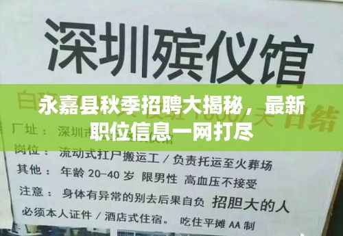 永嘉县秋季招聘大揭秘,最新职位信息一网打尽
