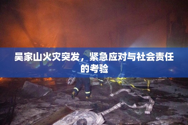 吴家山火灾突发,紧急应对与社会责任的考验