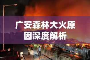 广安森林大火原因深度解析