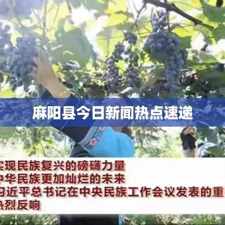 麻阳县今日新闻热点速递