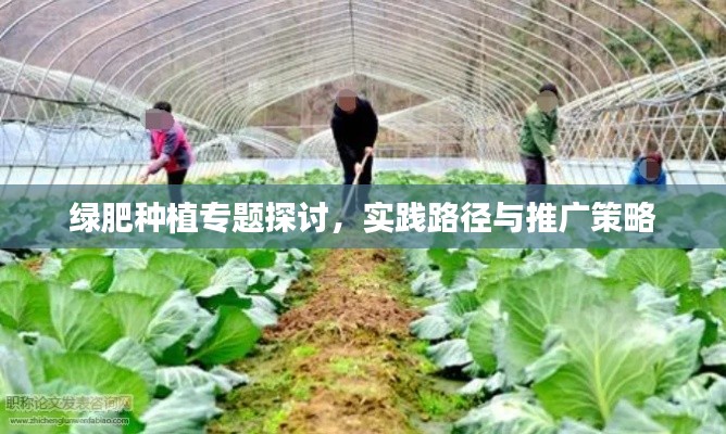 绿肥种植专题探讨,实践路径与推广策略