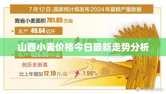山西小麦价格今日最新走势分析