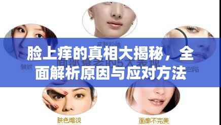 脸上痒的真相大揭秘,全面解析原因与应对方法