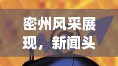 密州风采展现,新闻头条传递发展强音