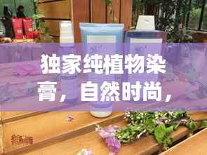 飞天遁地 第2页