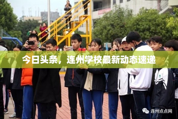 今日头条,连州学校最新动态速递