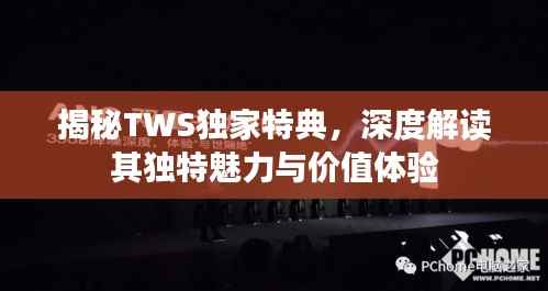 揭秘TWS独家特典,深度解读其独特魅力与价值体验