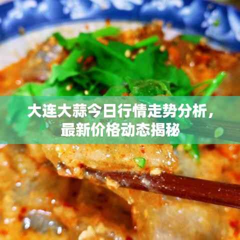 大连大蒜今日行情走势分析,最新价格动态揭秘
