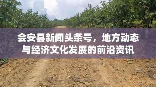 会安县新闻头条号,地方动态与经济文化发展的前沿资讯