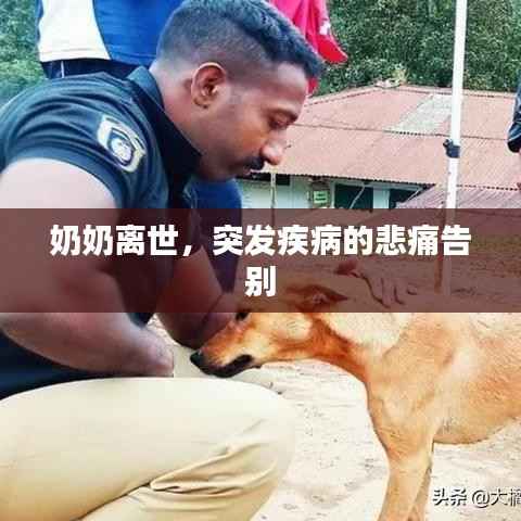 奶奶离世，突发疾病的悲痛告别